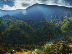 西藏林芝秋色山林间的宁静时光