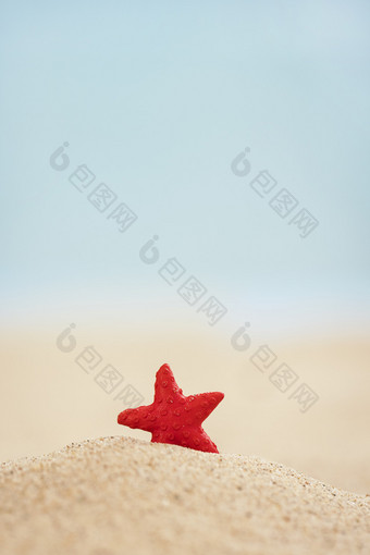 夏天沙滩上的红色小海星