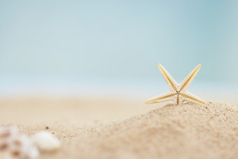 小海星<strong>沙滩</strong>创意夏日图片