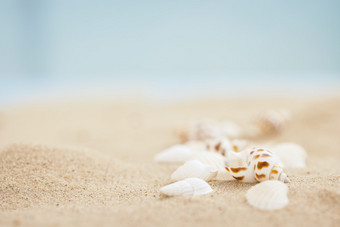 贝壳创意夏天<strong>沙滩</strong>图片