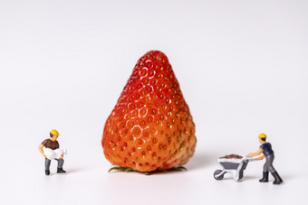 新鲜水果草莓<strong>微缩</strong>创意白色背景