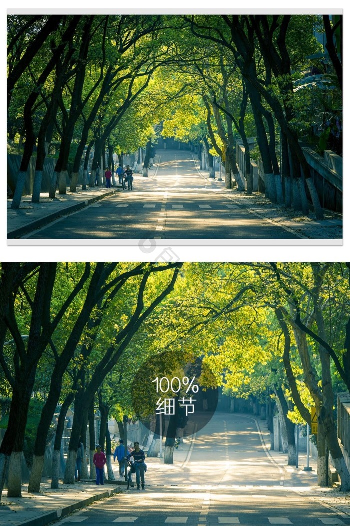 光影斑驳的林荫小道图片-包图网