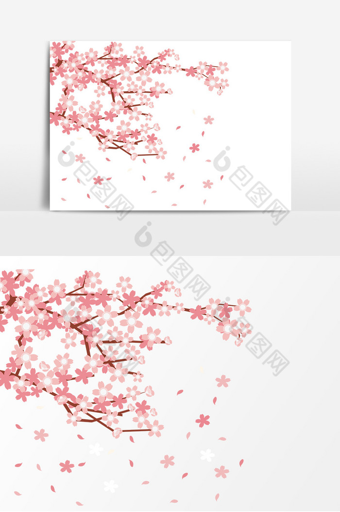樱花图片图片