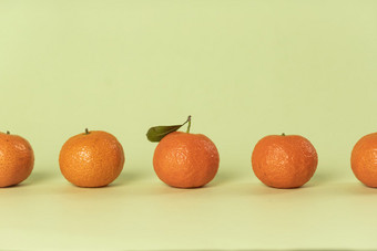 五颗排列整齐<strong>的</strong>橘子绿色背景图片