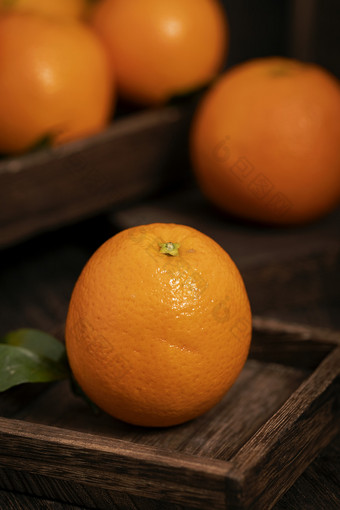 <strong>橙子</strong>水果暗调风格图片