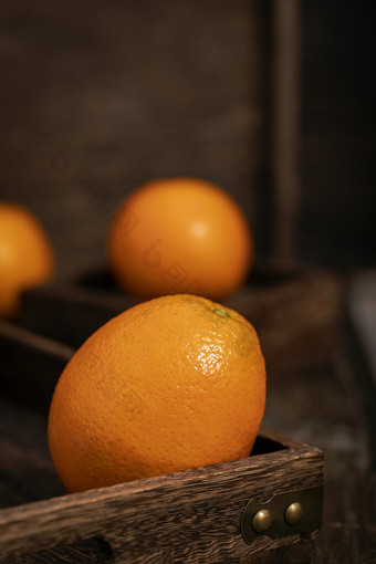 <strong>橙</strong>子水果暗调风格素材