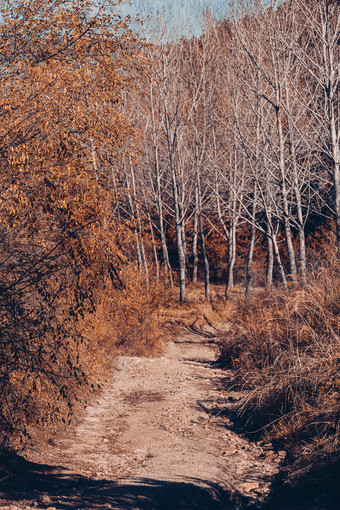 秋天的山间小路