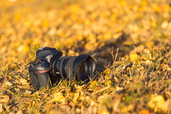 秋季草地上的相机