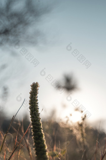 秋天你好秋天来了