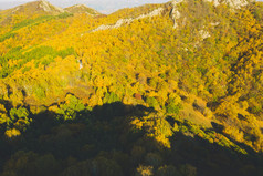 秋季航拍森林秋景图片