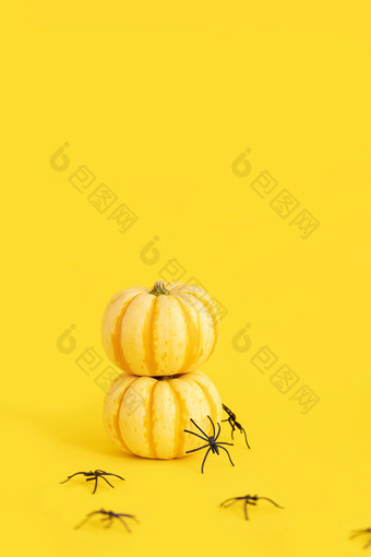 <strong>南瓜</strong>蜘蛛创意万圣节恐怖图片