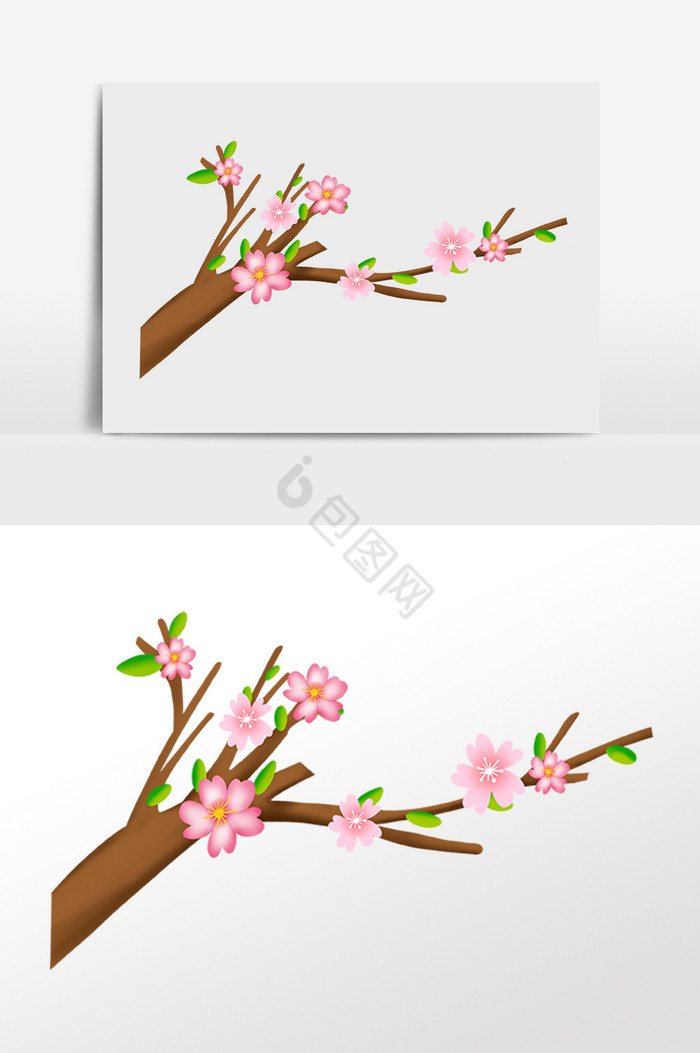 春天春季樱花花枝插画图片