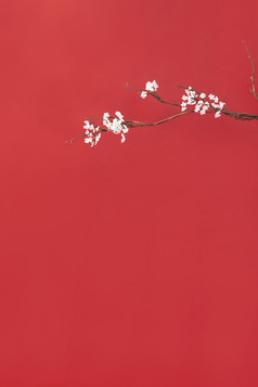 桃花枝头新春红色背景
