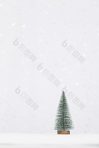 雪地上一棵圣诞树图片