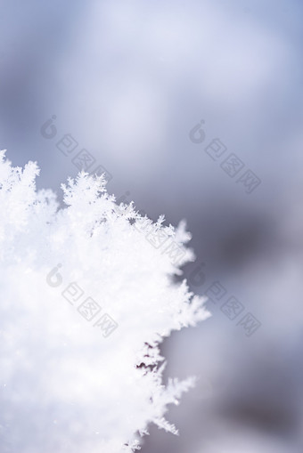 冬季室外冰晶雪花图片