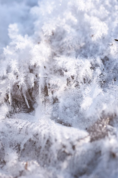 冬天微距特写雪花冰晶