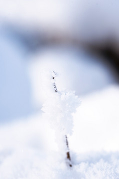 冬季室外雪景图片