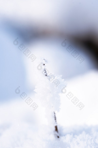 冬季室外雪景图片