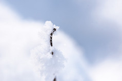 冬季微距特写雪景图片