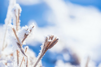 户外冬天冰雪纯净背景