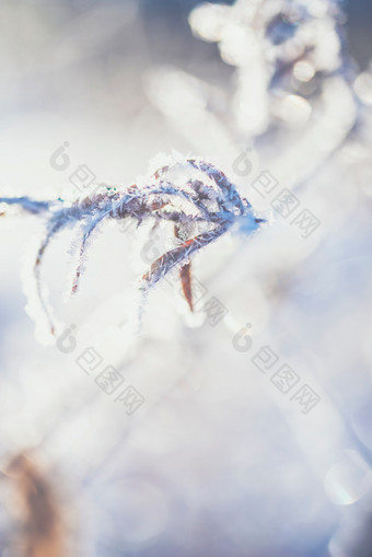 冬天纯净的户外冰雪图片