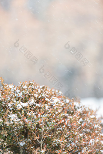 冬天冰雪季节室外图片