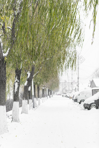 冬天沿街的河道积雪