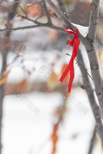冬天大雪中树上的红绳