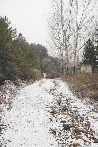 冬天<strong>大雪</strong>过后的山路