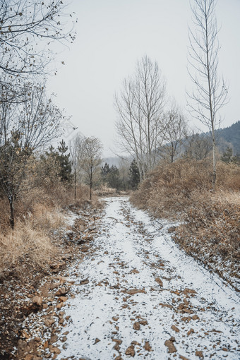 冬季山路被白雪覆盖