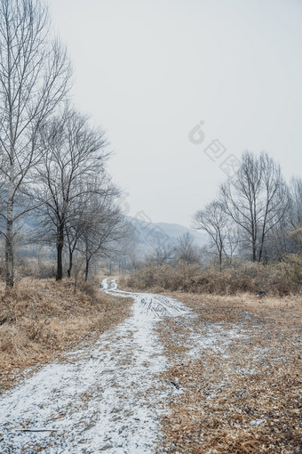 冬季掉满落叶和白雪的山路