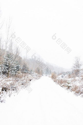 冬天大雪中的山路通道