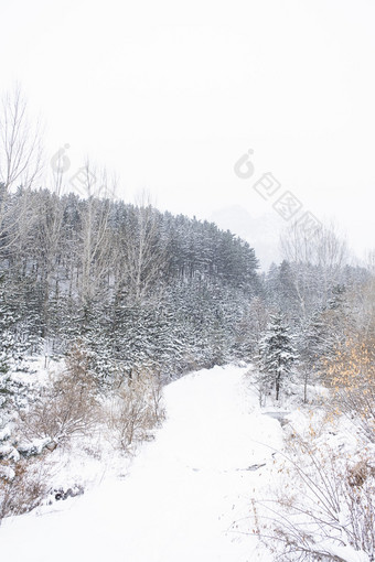 冬日大雪中的山路