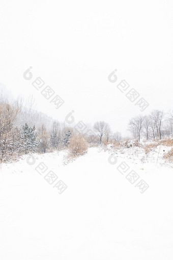 冬日大雪茫茫的山道