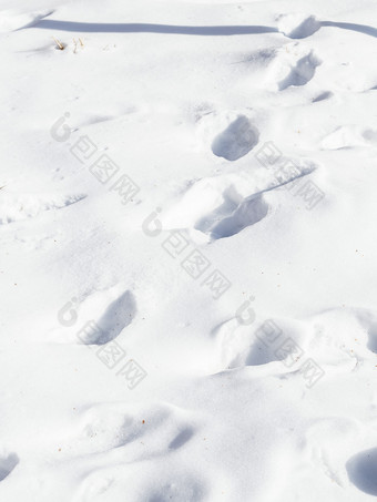 冬季雪地上的脚印