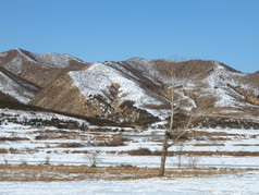 冬季雪后的山林与农田