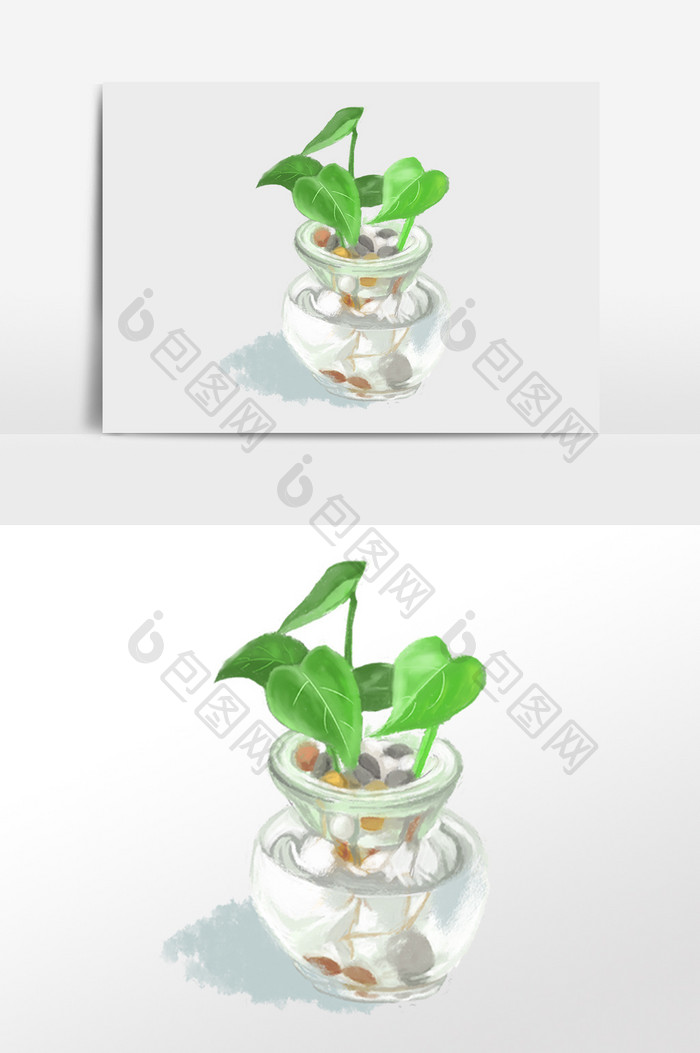 手绘盆栽水植物绿萝插画 Psd素材 包图网 手绘盆栽水植物绿萝插画 Psd素材 包图网