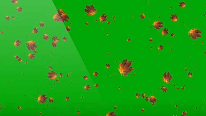 蓝绿屏抠像树叶飘落动态视频素材