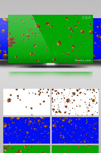 蓝绿屏抠像树叶飘落动态视频素材图片