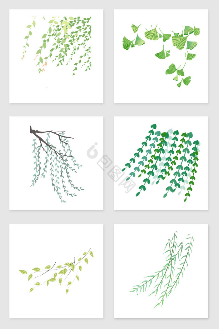 树枝树叶套图插画图片