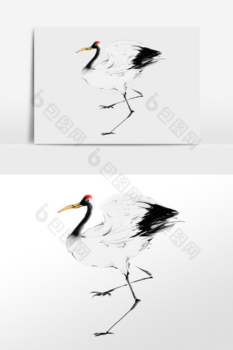 手绘水墨丹顶鹤鹤类动物插画图片