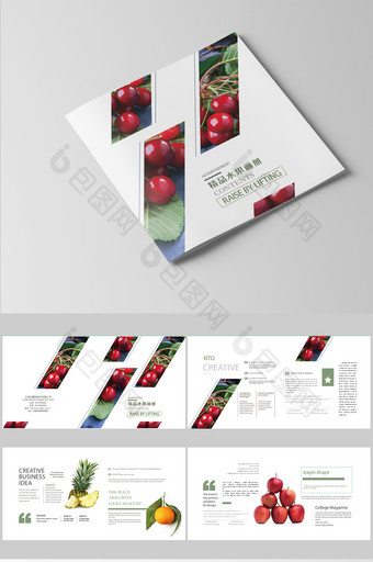 简约时尚精品水果果蔬宣传册图片