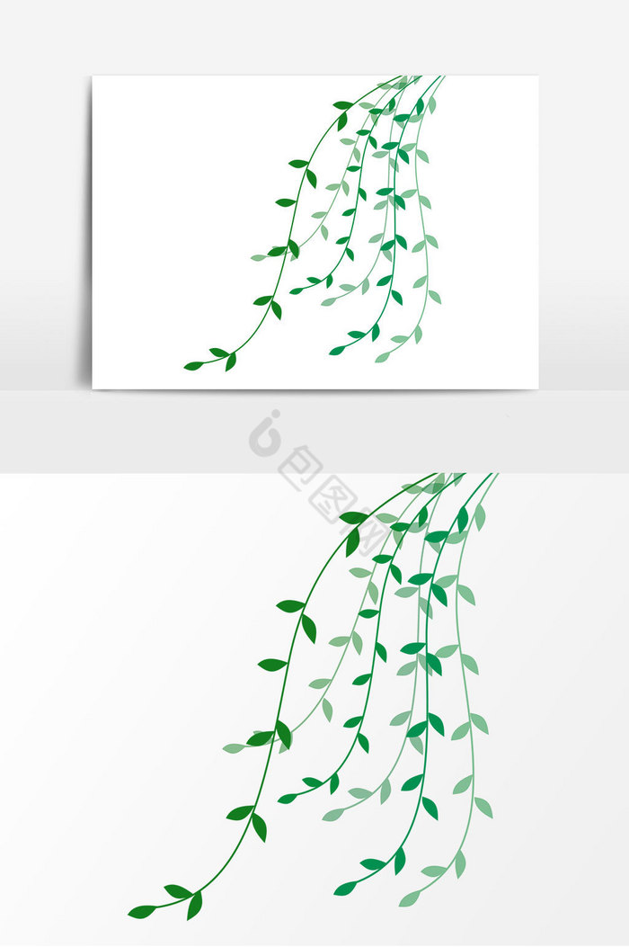 初春柳树柳枝飘动的柳叶春天杨柳