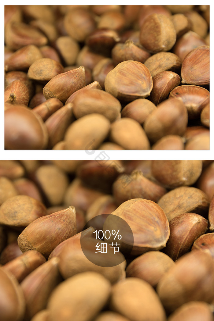 生板栗栗子食物摄影图片