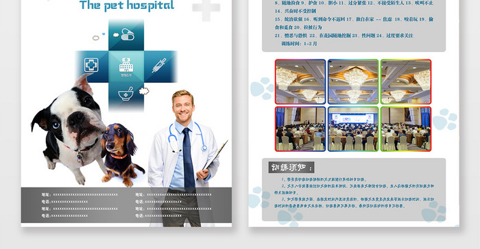 简洁简单大方宠物医院宣传单