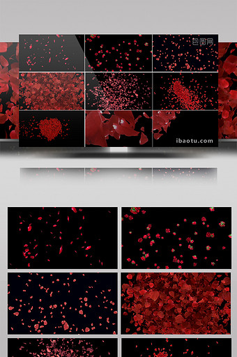 多组带通道花瓣飘落转场等视频元素素材图片