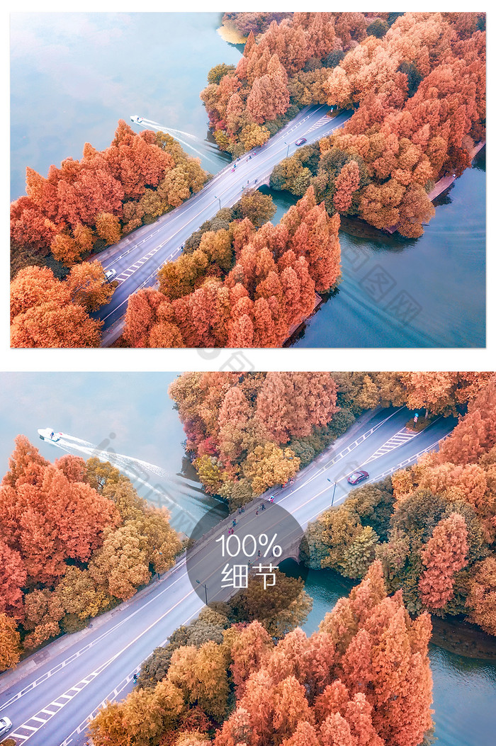 森林道路公路图片