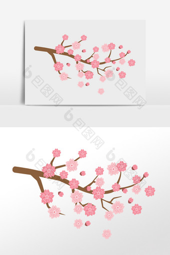 手绘春季绽放粉色樱花花枝插画图片