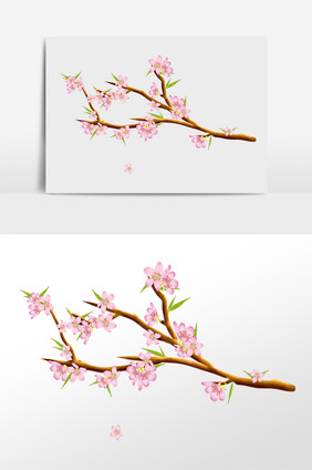 春季植物樱花花枝插画