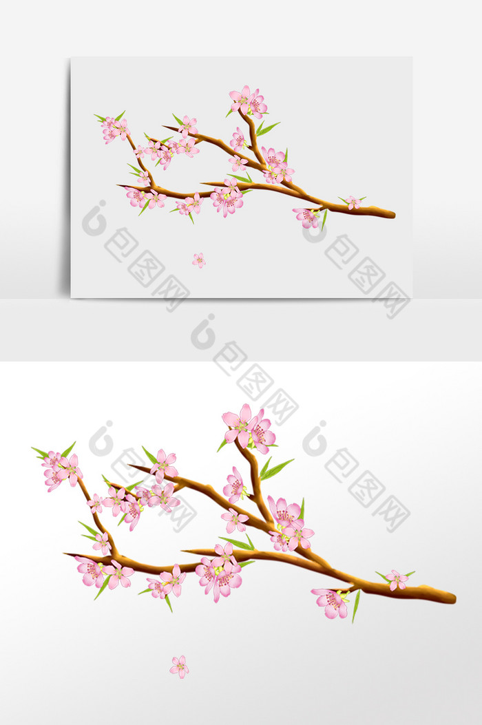 春季植物樱花花枝插画图片图片